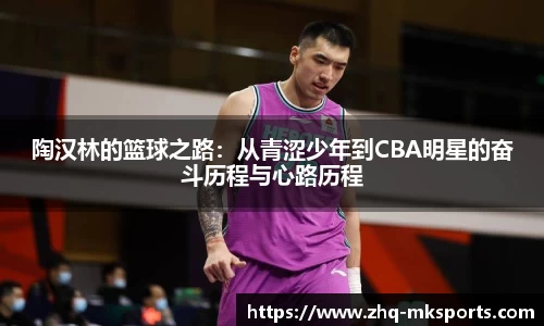 陶汉林的篮球之路：从青涩少年到CBA明星的奋斗历程与心路历程