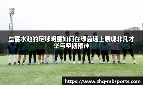 垒蓄水池的足球明星如何在绿茵场上展现非凡才华与坚韧精神